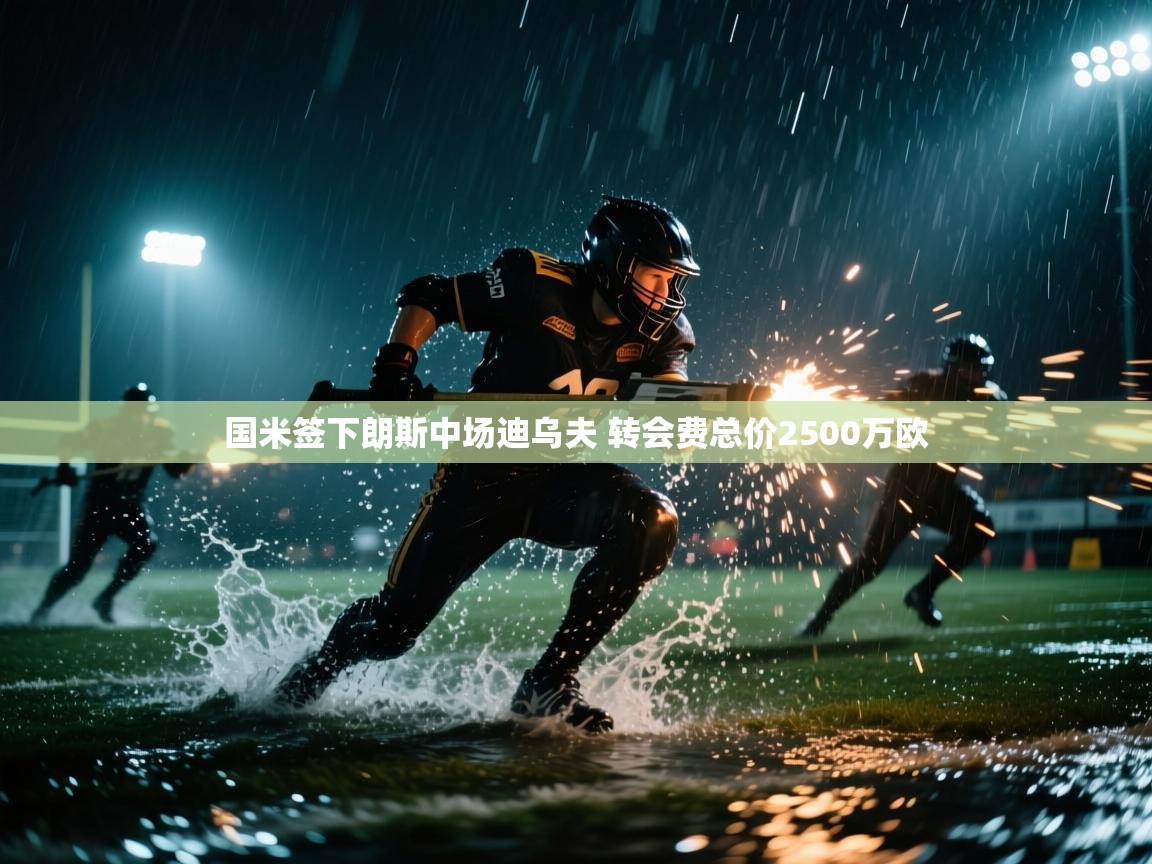 开云体育app官网入口-国米签下朗斯中场迪乌夫 转会费总价2500万欧 第4张