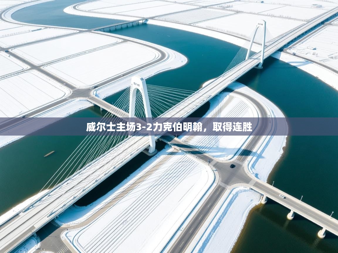 -威尔士主场3-2力克伯明翰，取得连胜  第4张