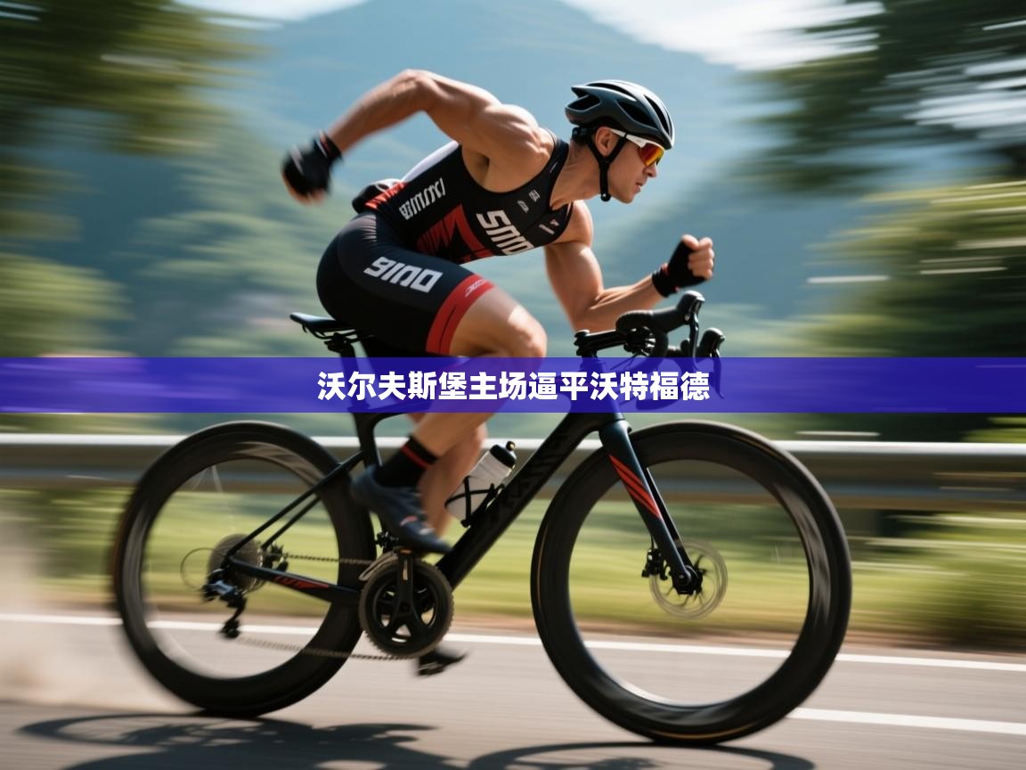 开云注册-沃尔夫斯堡主场逼平沃特福德  第4张