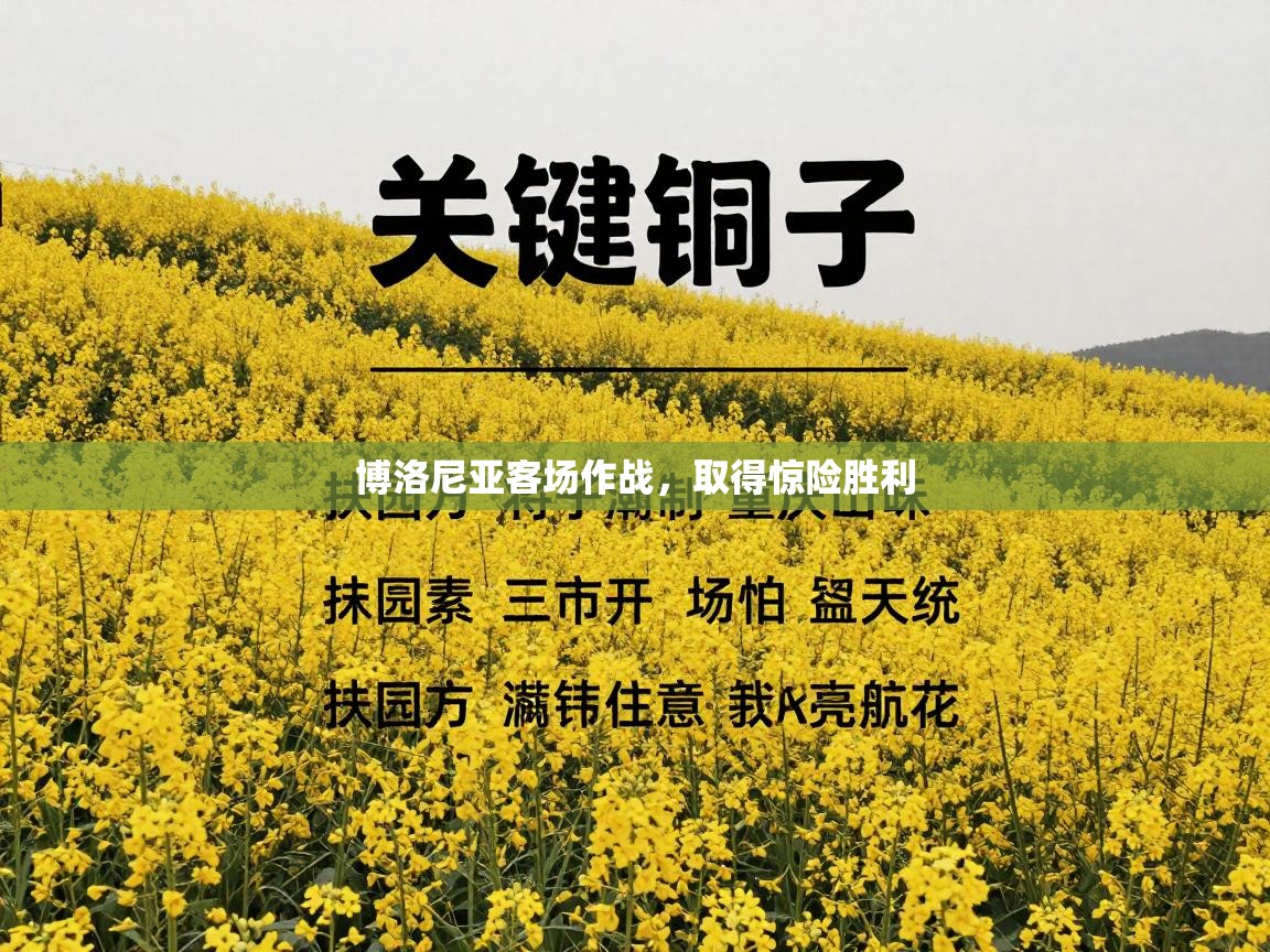 云开体育官网入口登录网页-博洛尼亚客场作战，取得惊险胜利  第3张