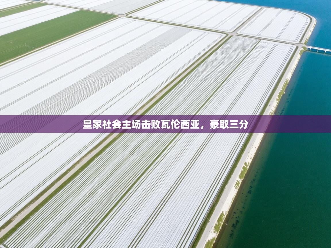 开云直播-皇家社会主场击败瓦伦西亚，豪取三分  第3张